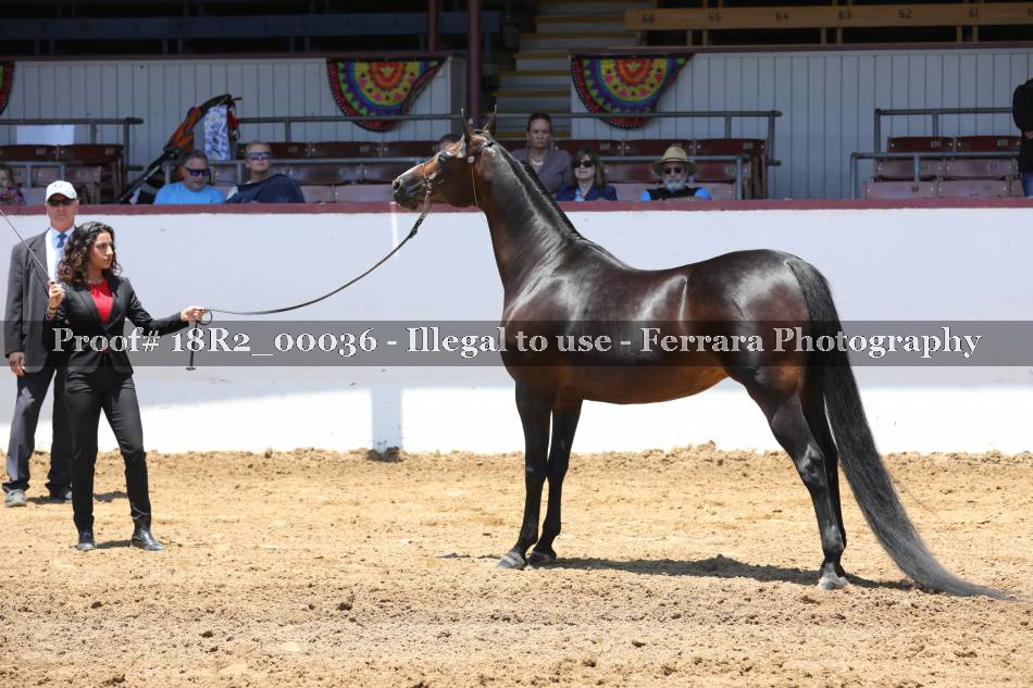 Proof 18R2_00036
