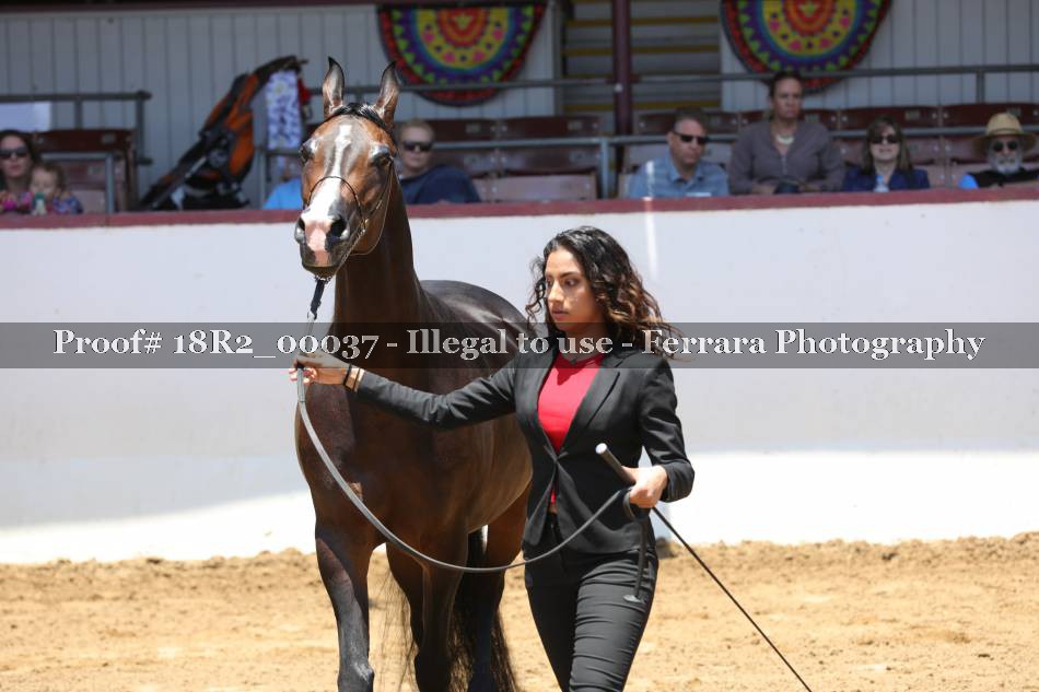 Proof 18R2_00037
