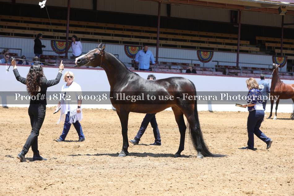 Proof 18R2_00038