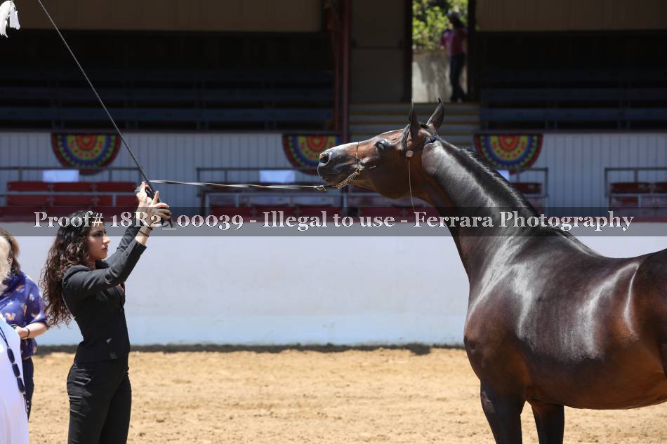Proof 18R2_00039