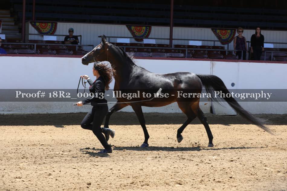 Proof 18R2_00913