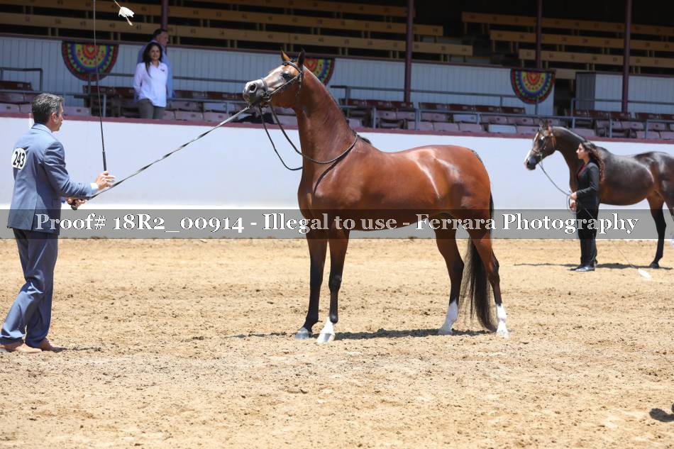 Proof 18R2_00914