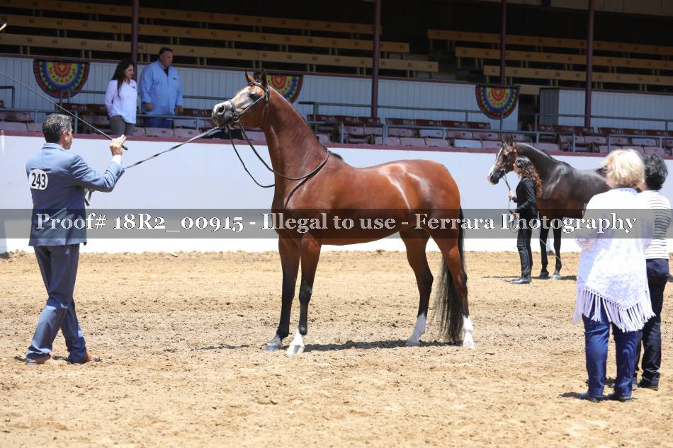 Proof 18R2_00915