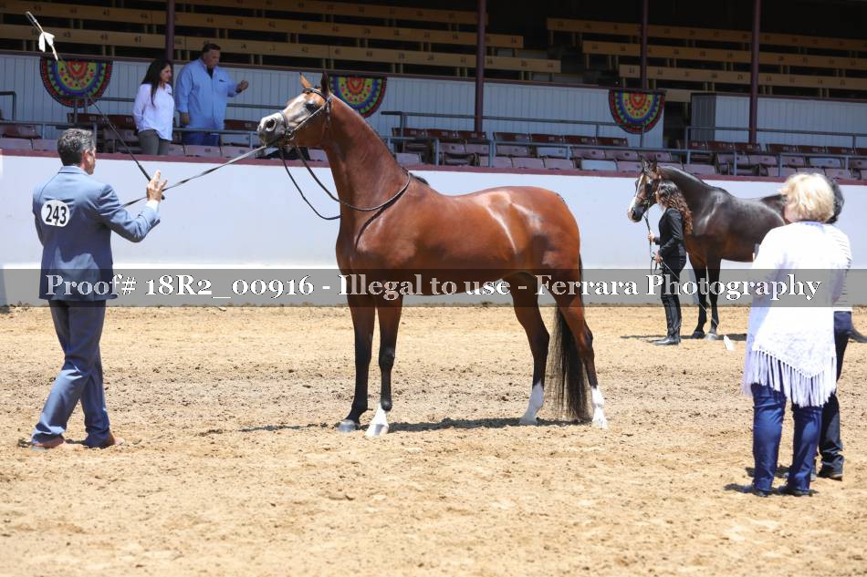 Proof 18R2_00916