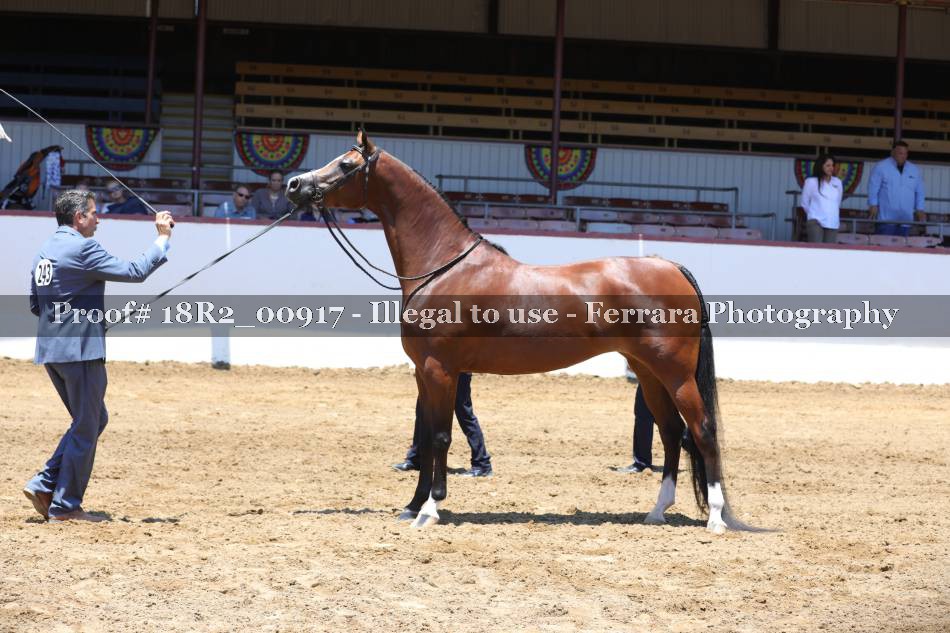Proof 18R2_00917
