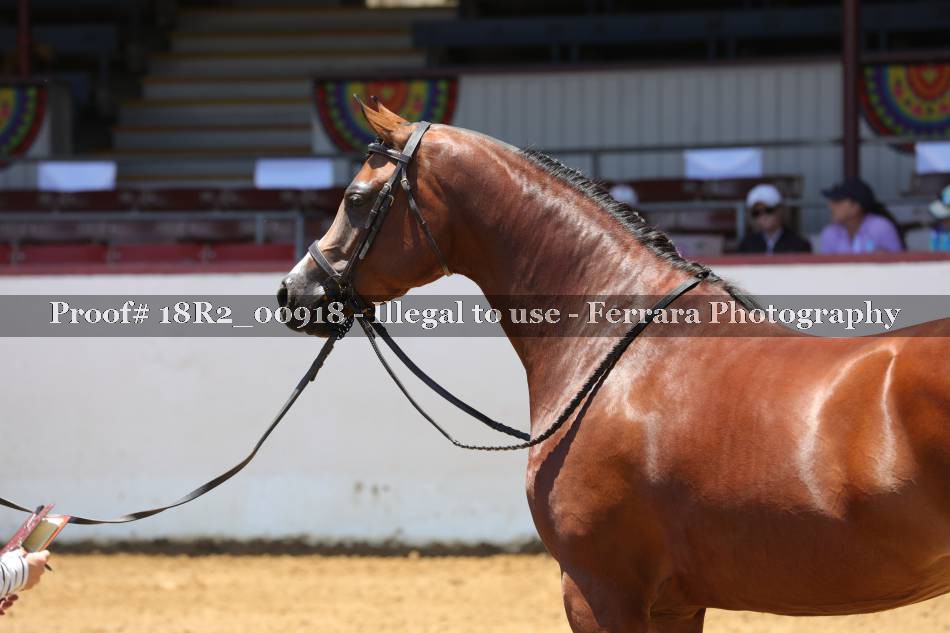 Proof 18R2_00918