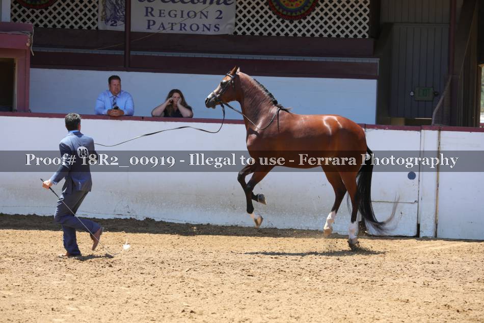 Proof 18R2_00919