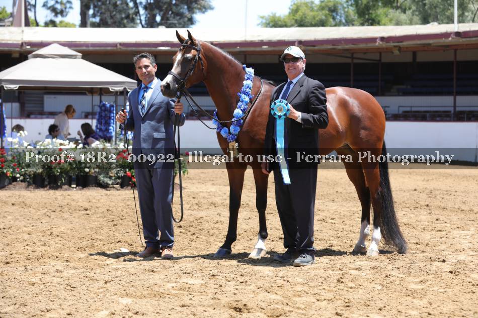 Proof 18R2_00922
