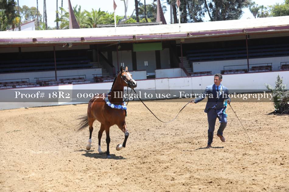 Proof 18R2_00924