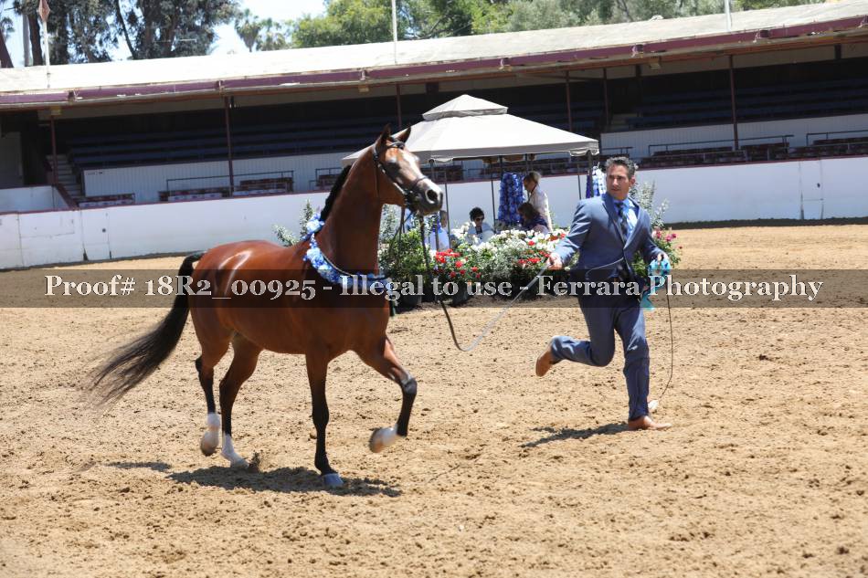 Proof 18R2_00925