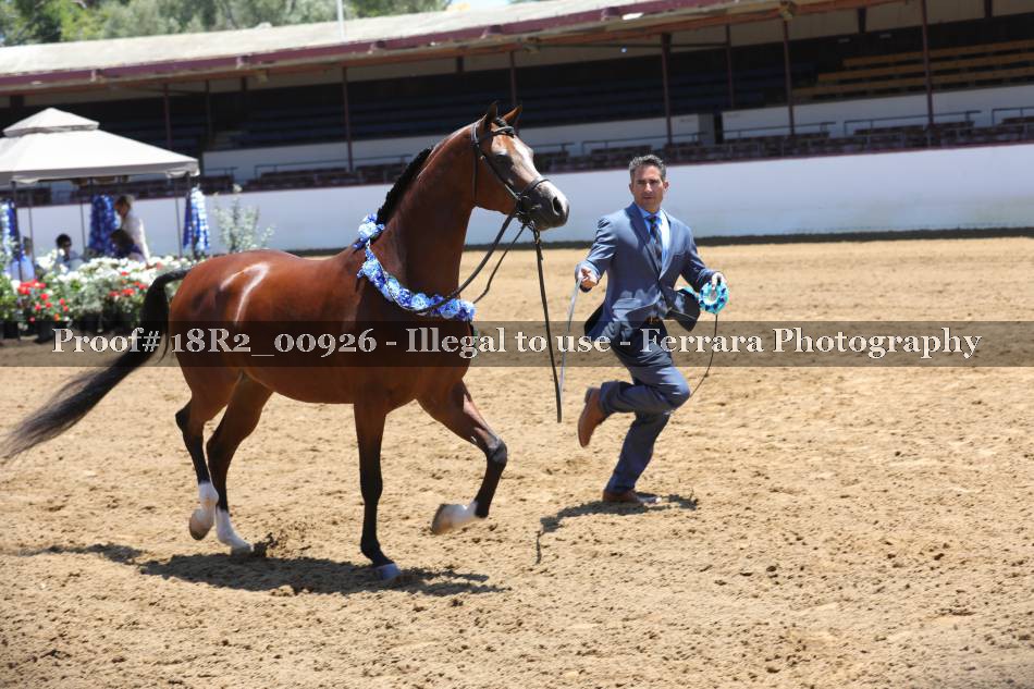 Proof 18R2_00926