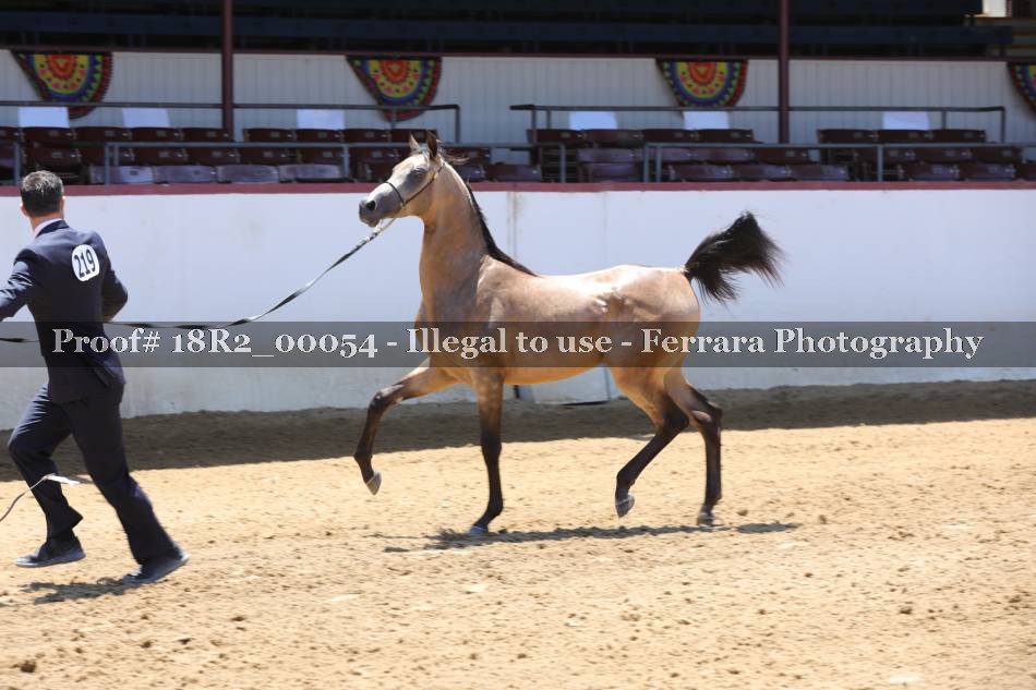 Proof 18R2_00054