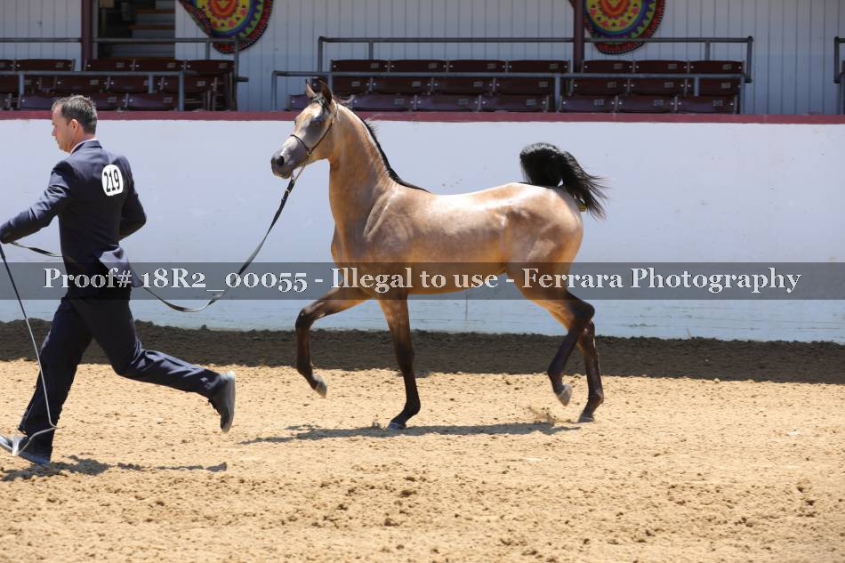 Proof 18R2_00055