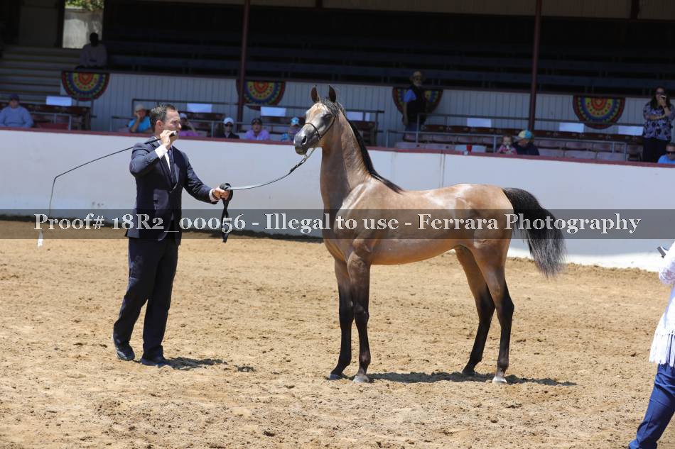 Proof 18R2_00056