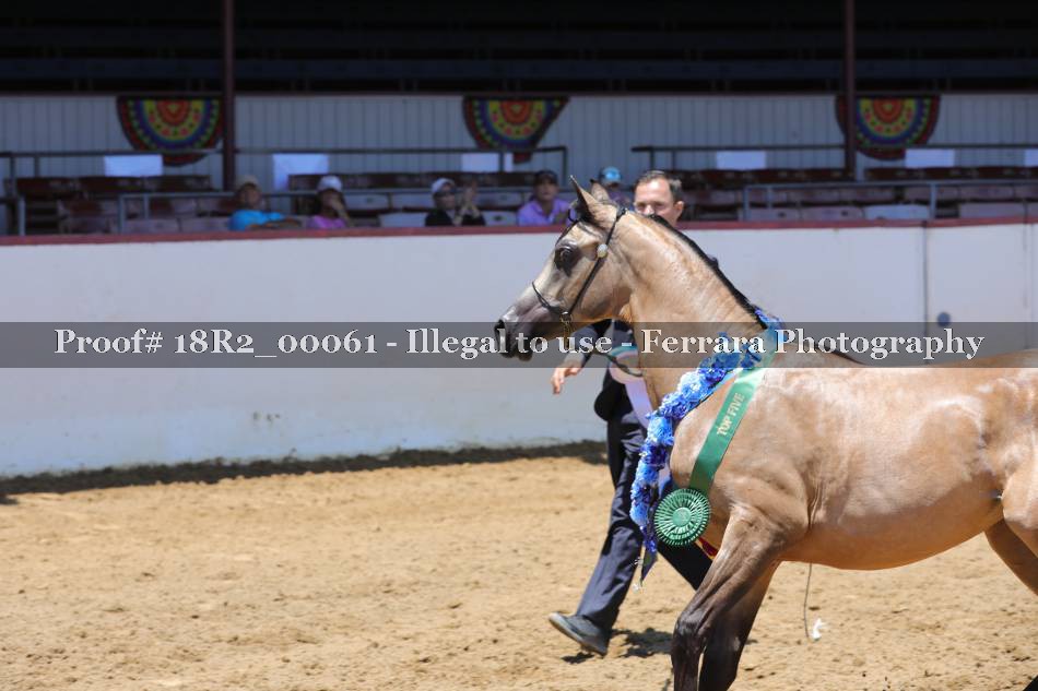 Proof 18R2_00061