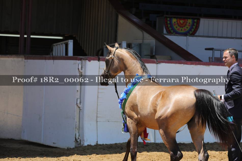 Proof 18R2_00062