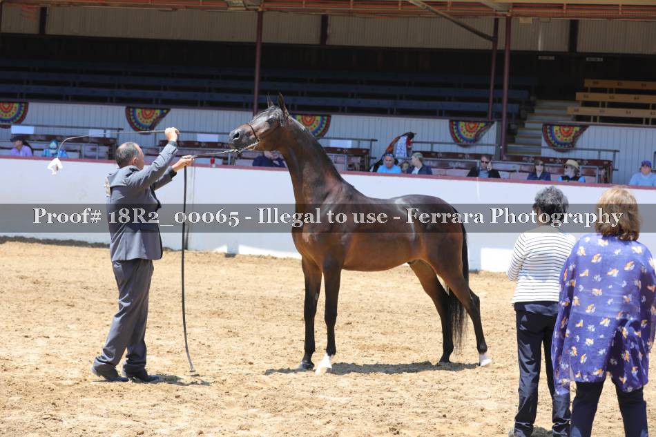 Proof 18R2_00065
