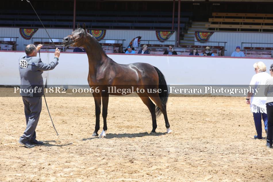 Proof 18R2_00066