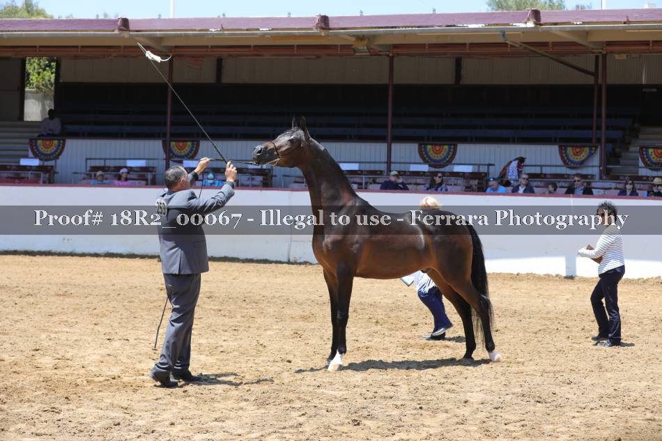 Proof 18R2_00067