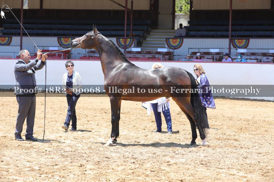 Proof 18R2_00068
