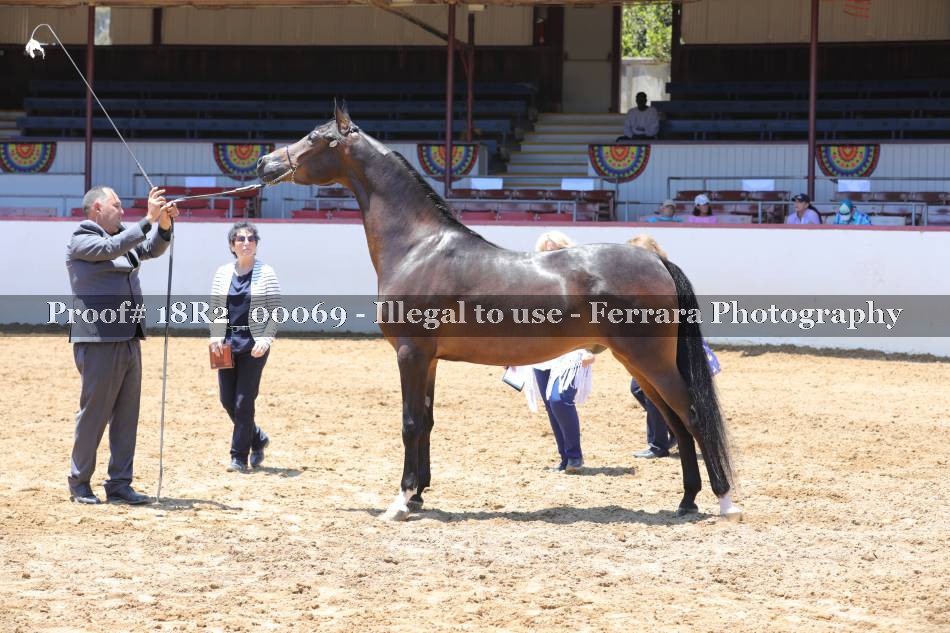 Proof 18R2_00069