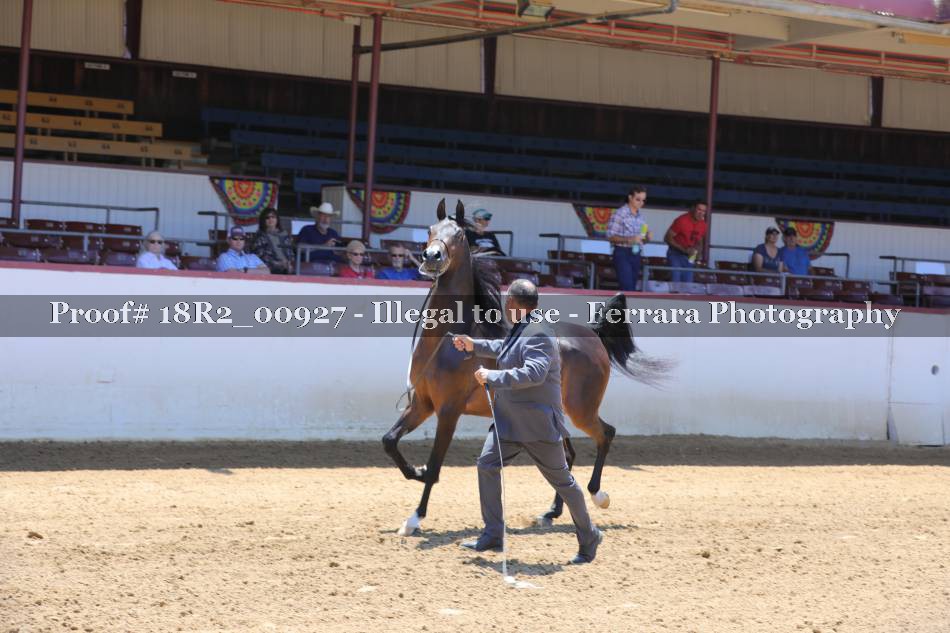 Proof 18R2_00927