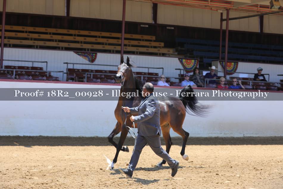 Proof 18R2_00928