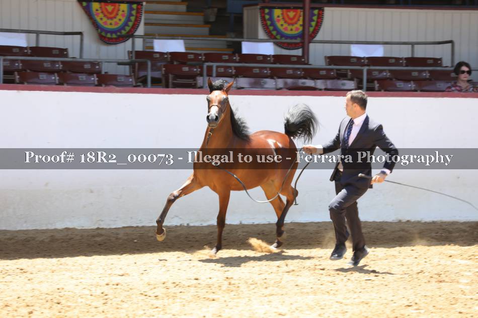 Proof 18R2_00073