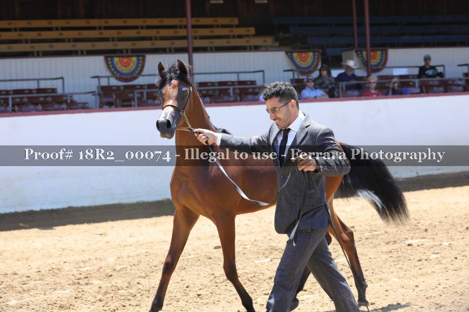Proof 18R2_00074