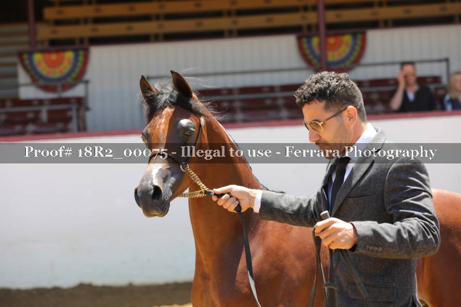 Proof 18R2_00075