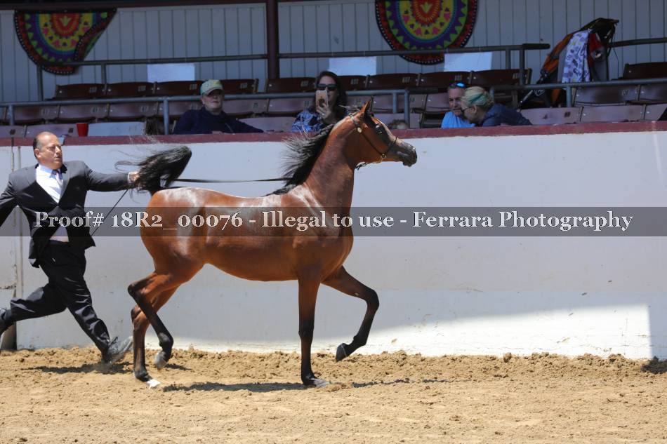 Proof 18R2_00076