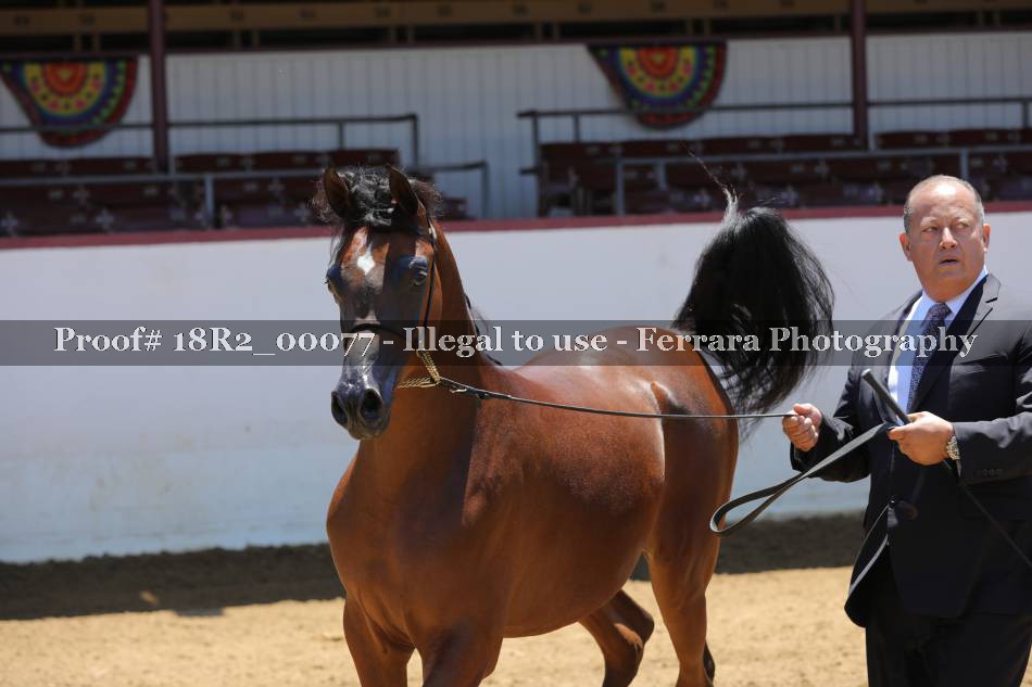 Proof 18R2_00077
