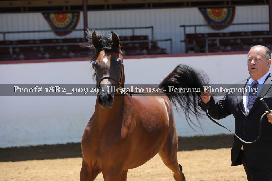 Proof 18R2_00929