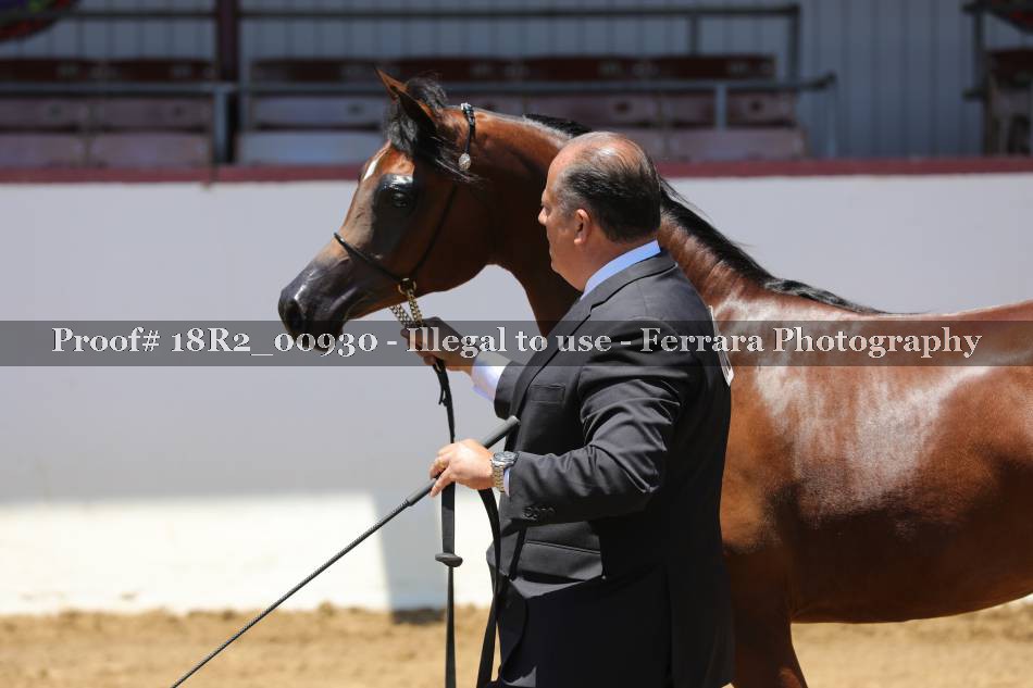 Proof 18R2_00930