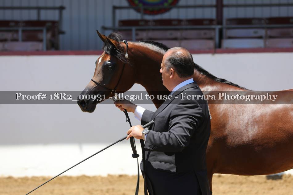 Proof 18R2_00931
