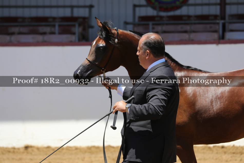 Proof 18R2_00932
