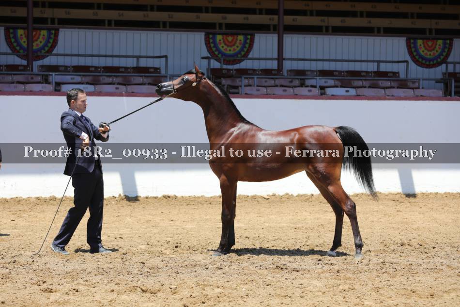 Proof 18R2_00933