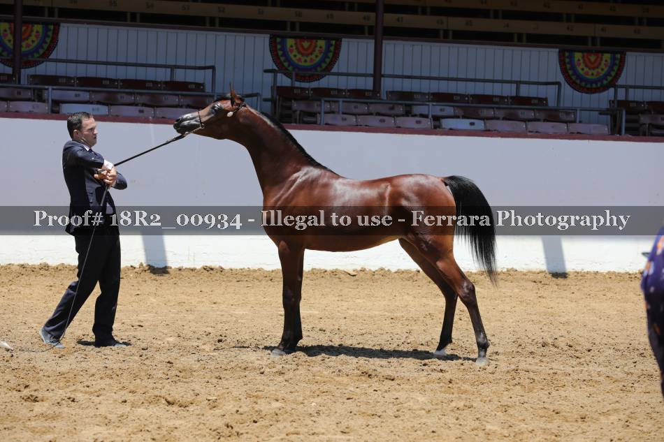 Proof 18R2_00934