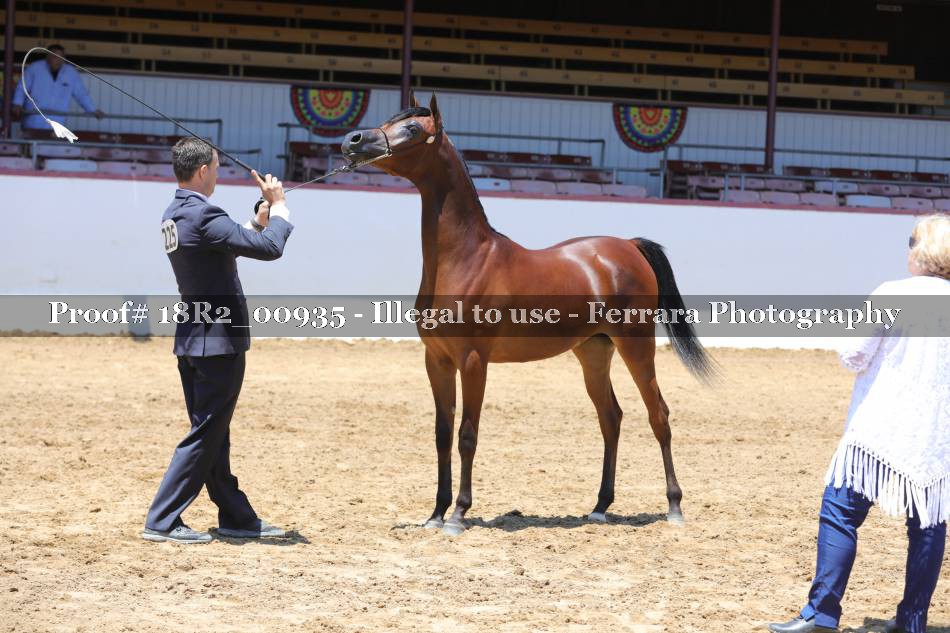 Proof 18R2_00935