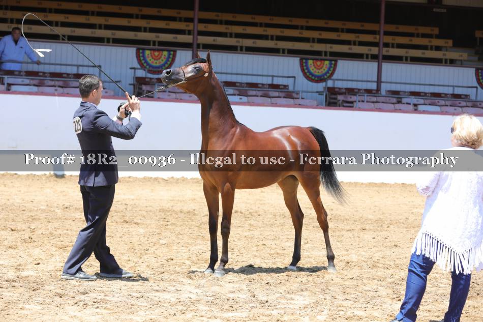 Proof 18R2_00936
