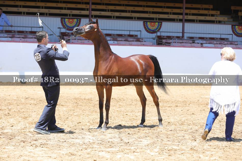 Proof 18R2_00937