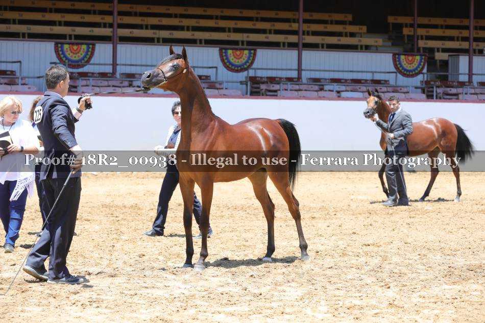 Proof 18R2_00938
