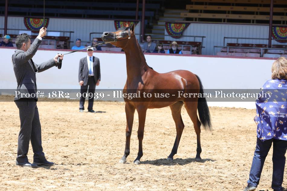 Proof 18R2_00939