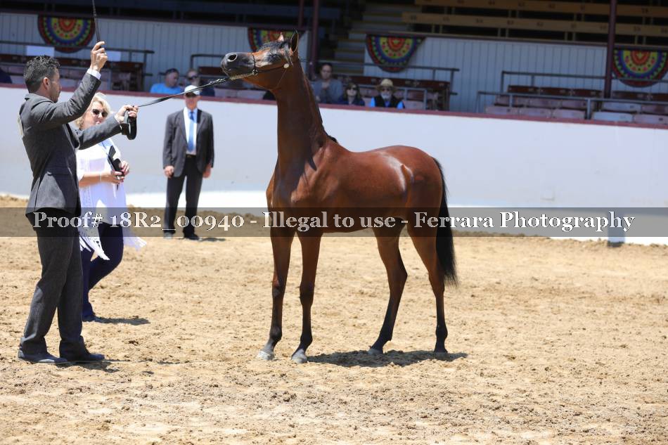 Proof 18R2_00940