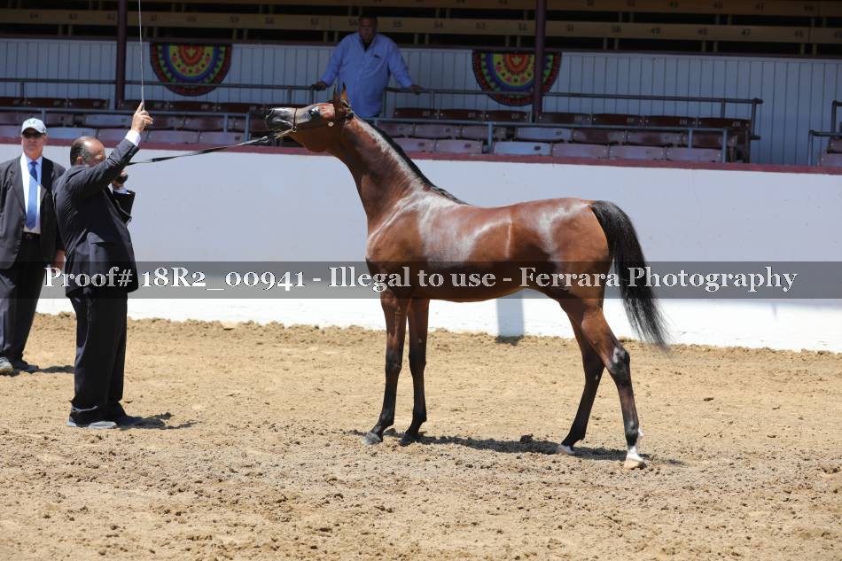 Proof 18R2_00941