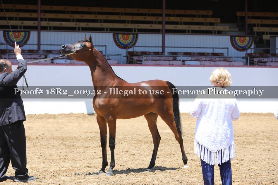 Proof 18R2_00942