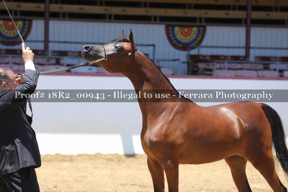 Proof 18R2_00943