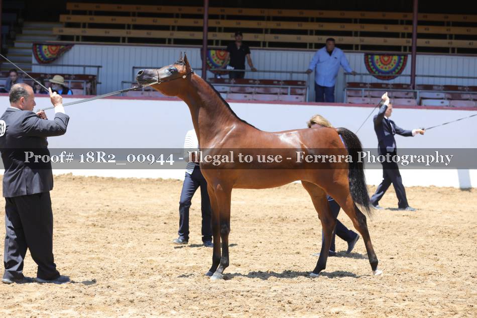 Proof 18R2_00944
