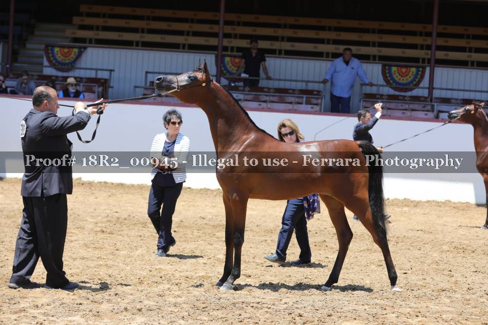 Proof 18R2_00945