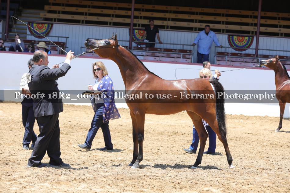Proof 18R2_00946